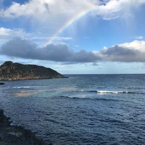 Meet your Posher, Shelley